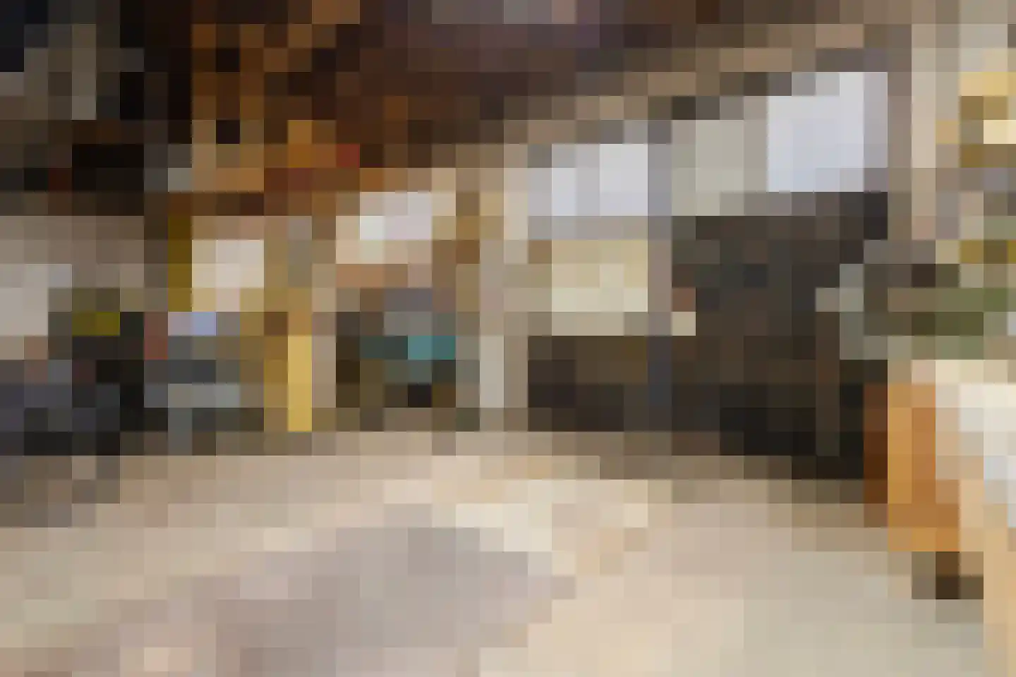 Vliegenstraat 33 Bunde thumbnail 37