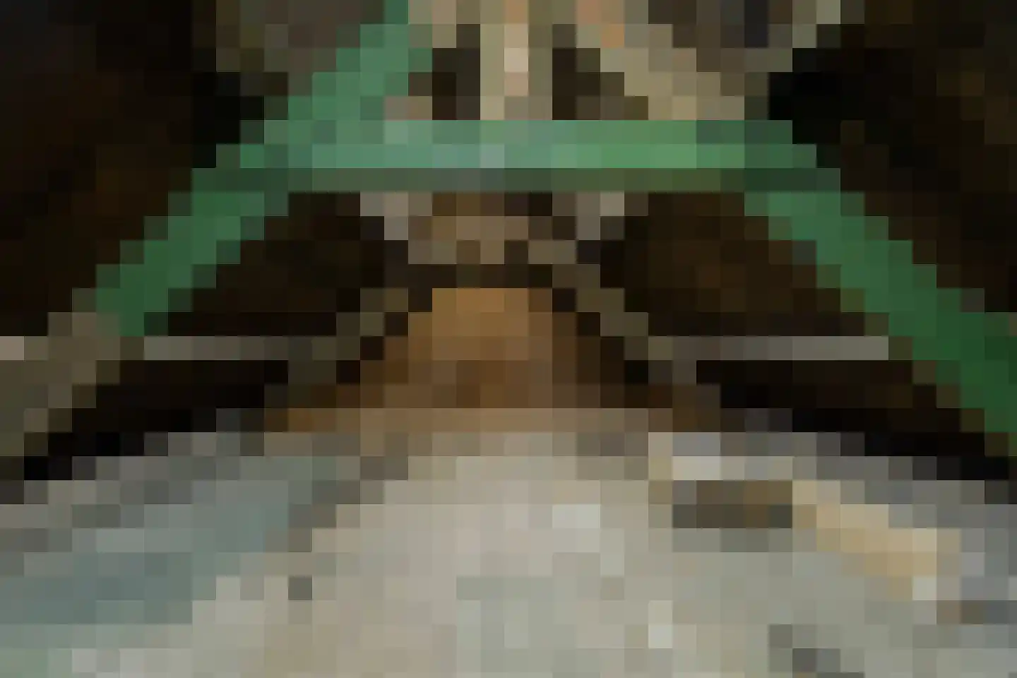 Vliegenstraat 33 Bunde thumbnail 39