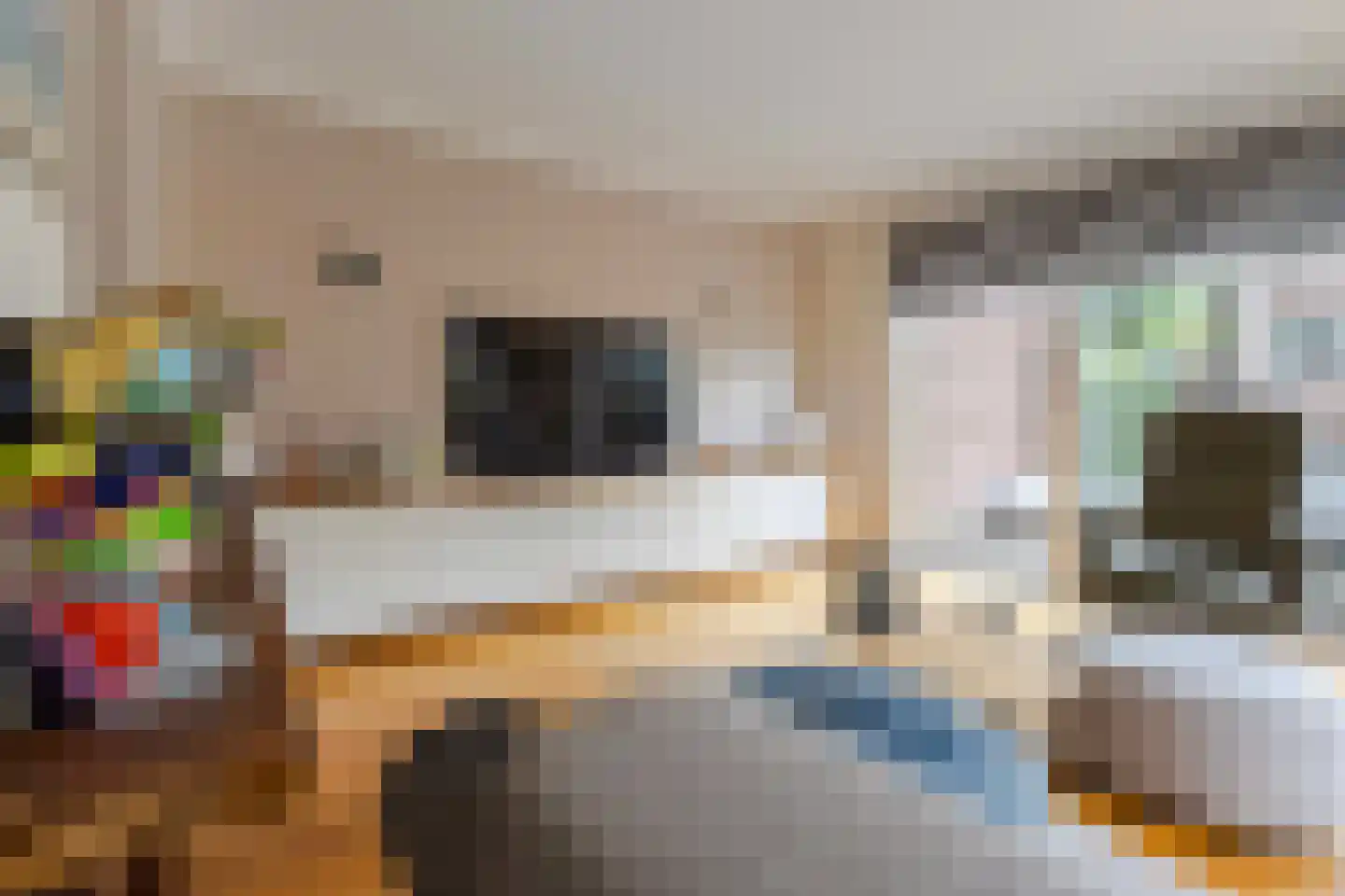 Vliegenstraat 33 Bunde thumbnail 4