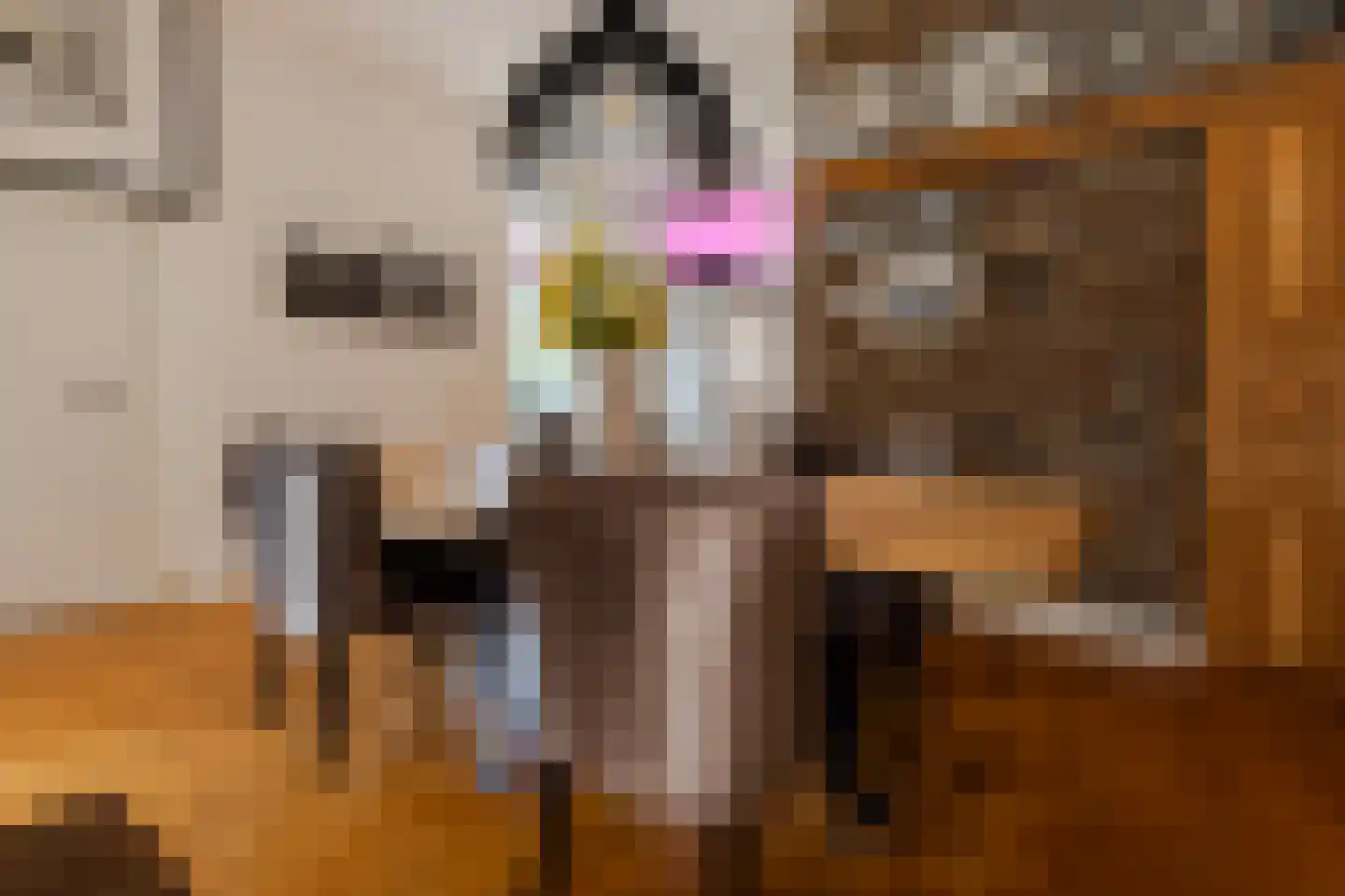 Vliegenstraat 33 Bunde thumbnail 8