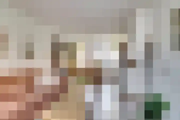 Vliegenstraat 35 Gouda thumbnail 8