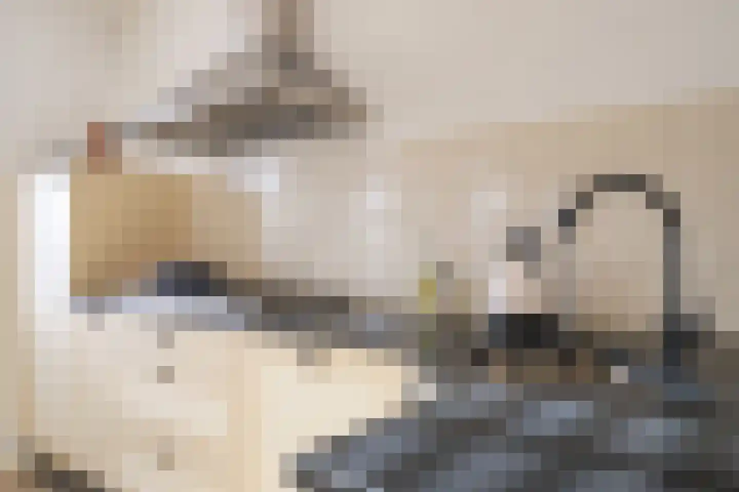 Vliegenstraat 44 Bunde thumbnail 11
