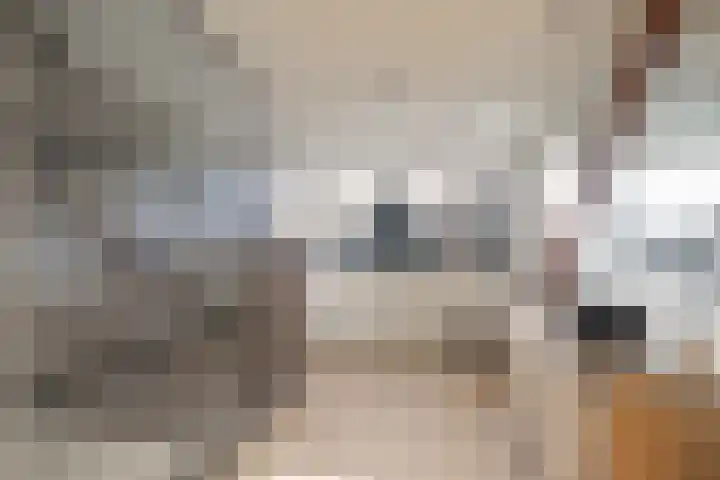 Vliegenstraat 44 Bunde thumbnail 17