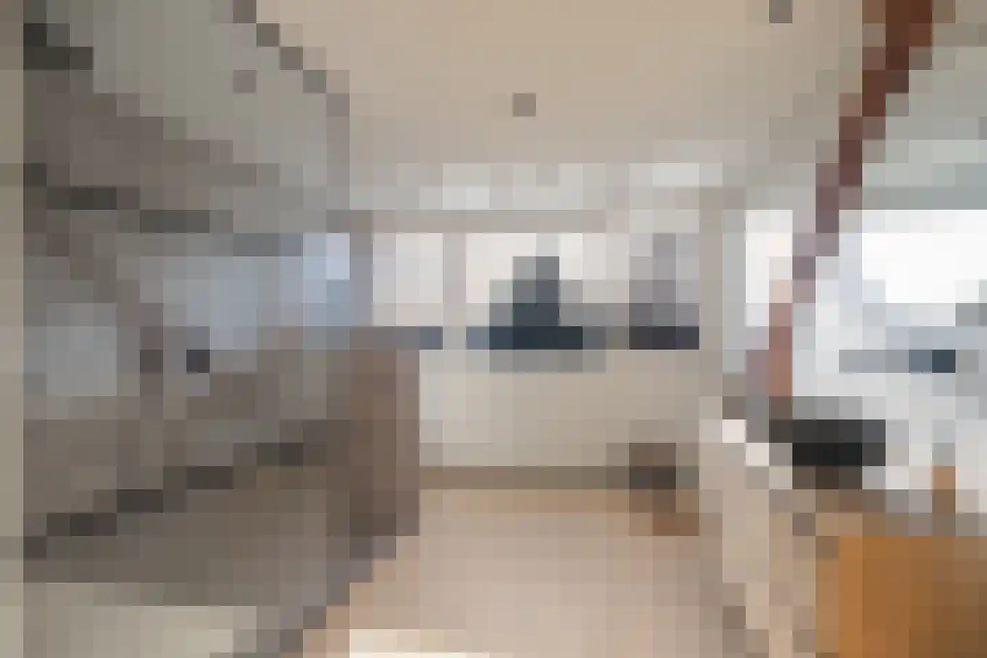 Vliegenstraat 44 Bunde thumbnail 19