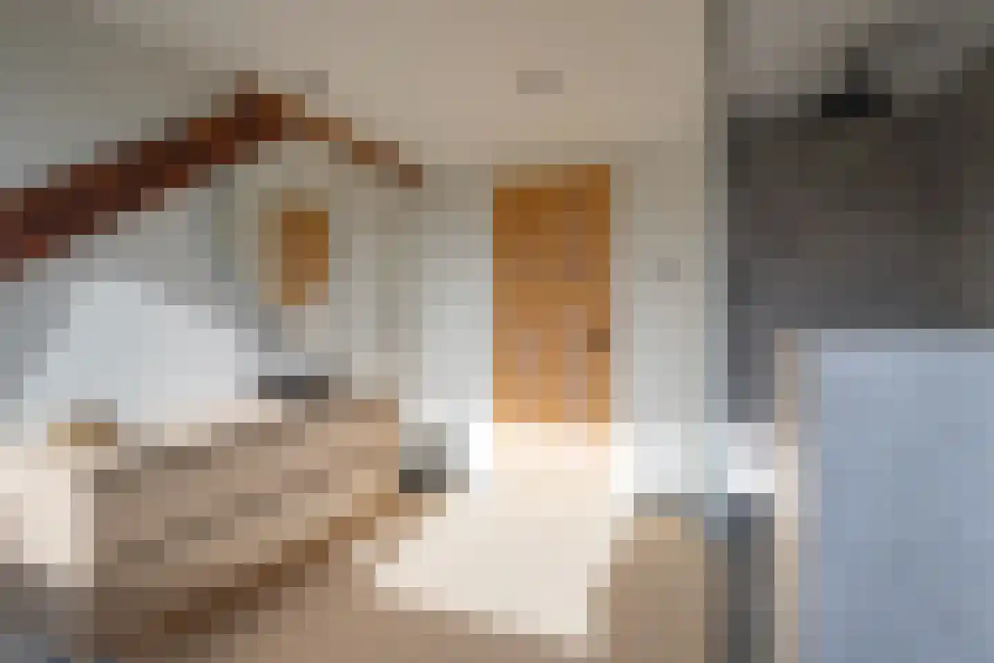 Vliegenstraat 44 Bunde thumbnail 20