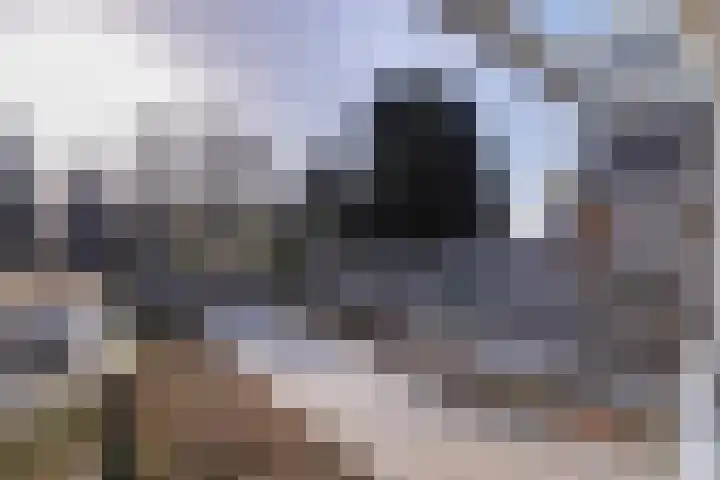 Vliegenstraat 44 Bunde thumbnail 21
