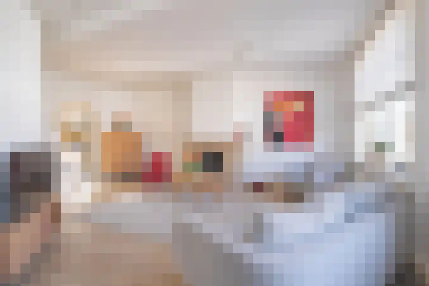 Vliegenstraat 44 Bunde thumbnail 7