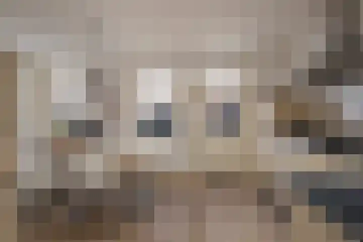 Vliegenstraat 44 Bunde thumbnail 8