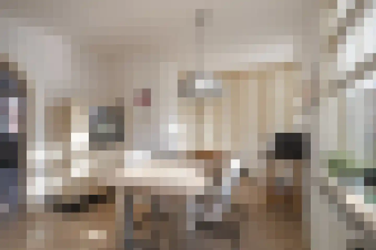 Vliegenstraat 44 Bunde thumbnail 9