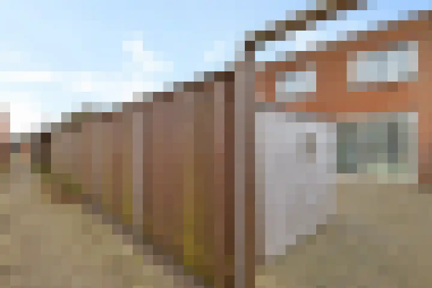 Vliegent Hert 136 Lelystad thumbnail 33