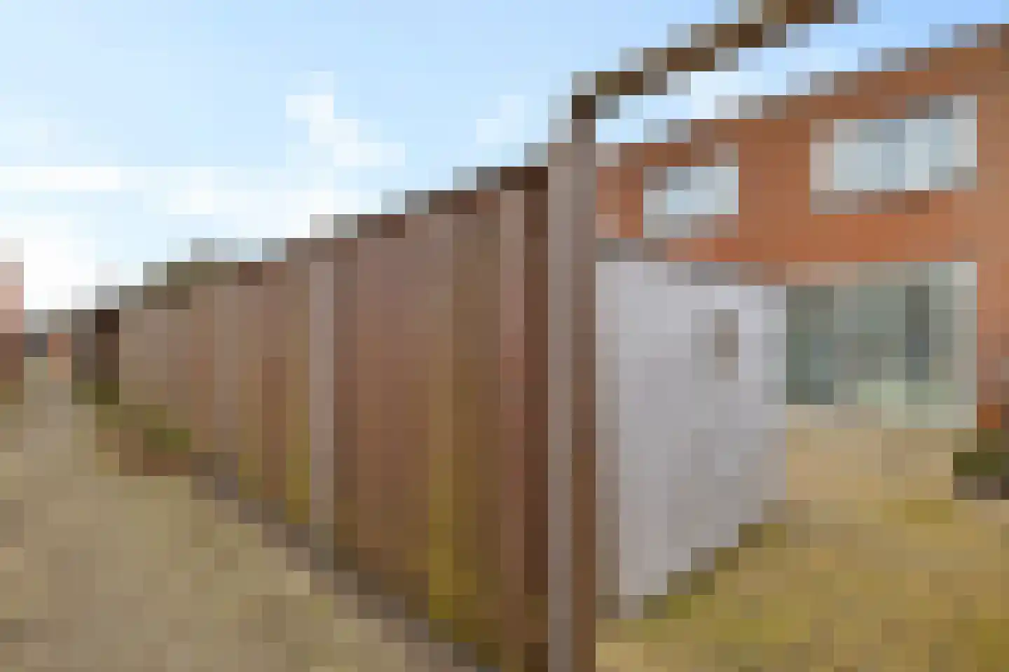 Vliegent Hert 136 Lelystad thumbnail 34