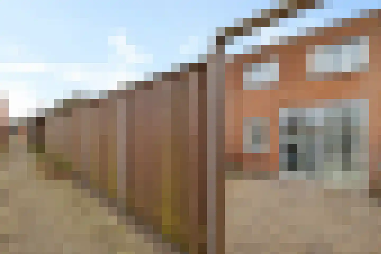 Vliegent Hert 136 Lelystad thumbnail 34