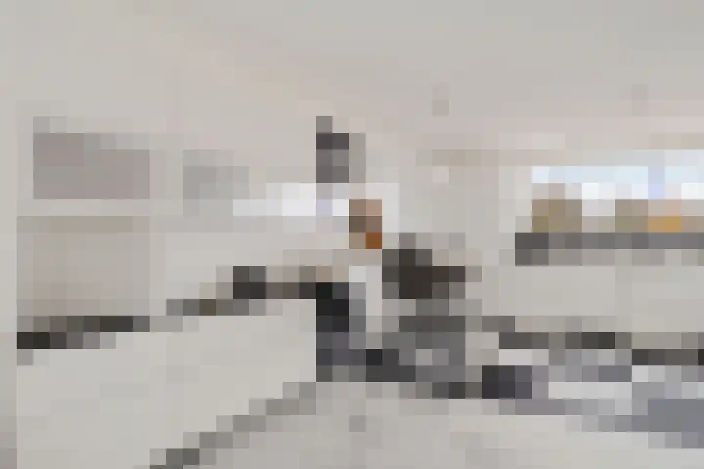 Vliegent Hert 136 Lelystad thumbnail 6