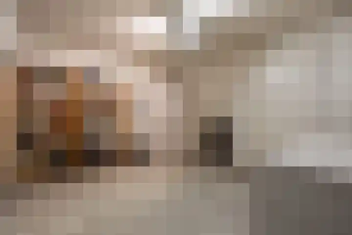 Vliegent Hert 140 Lelystad thumbnail 10