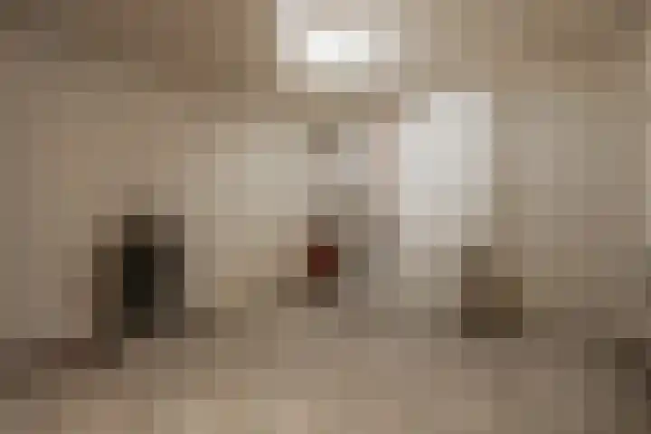 Vliegent Hert 140 Lelystad thumbnail 11