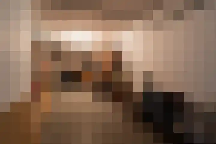 Vliegent Hert 140 Lelystad thumbnail 13