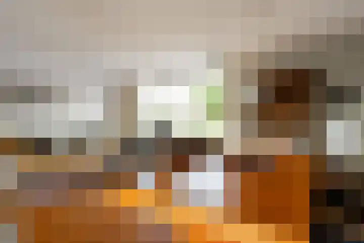 Vliegent Hert 140 Lelystad thumbnail 20