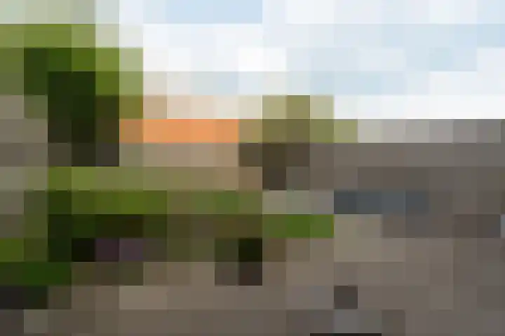 Vliegent Hert 140 Lelystad thumbnail 23