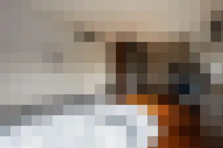Vliegent Hert 140 Lelystad thumbnail 28