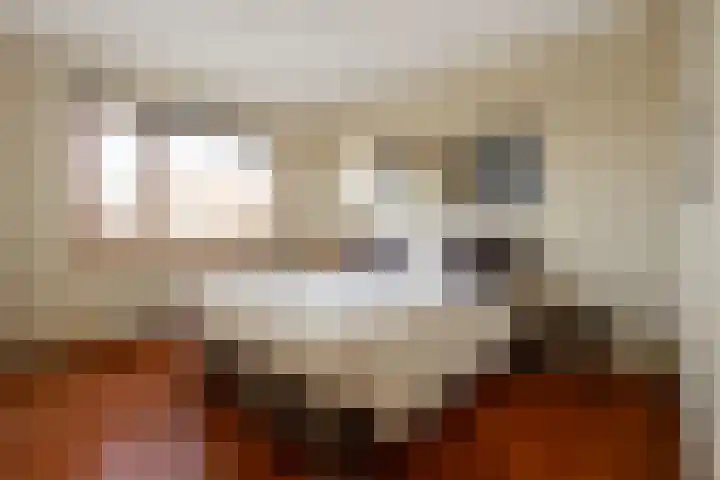 Vliegent Hert 140 Lelystad thumbnail 35