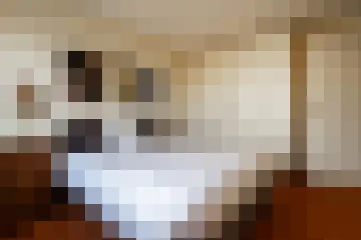 Vliegent Hert 140 Lelystad thumbnail 36