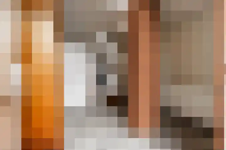 Vliegent Hert 140 Lelystad thumbnail 6