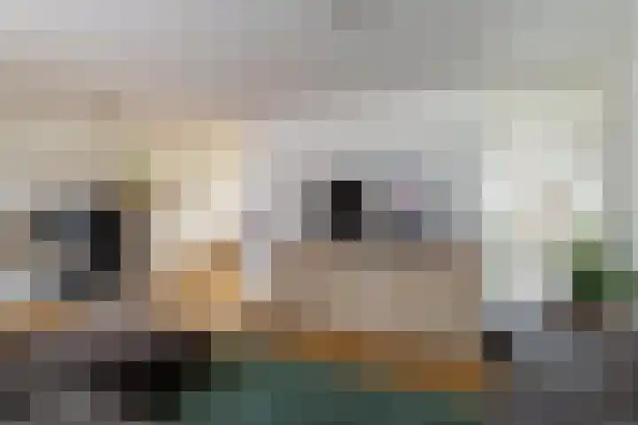 Vliegent Hert 224 Lelystad thumbnail 11