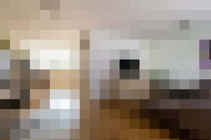 Vliegent Hert 224 Lelystad thumbnail 12