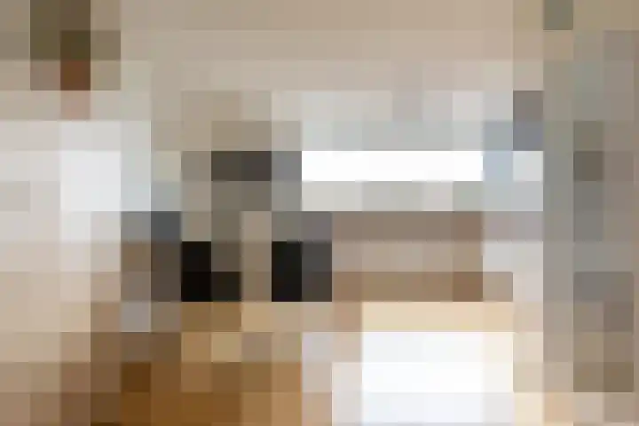 Vliegent Hert 224 Lelystad thumbnail 13