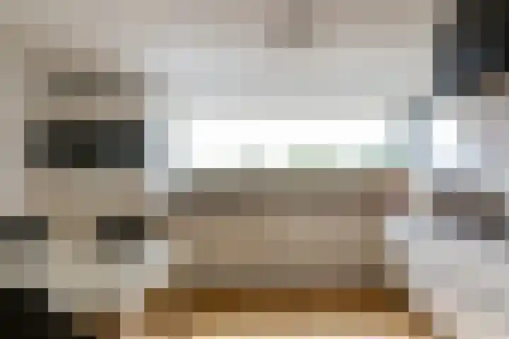 Vliegent Hert 224 Lelystad thumbnail 15