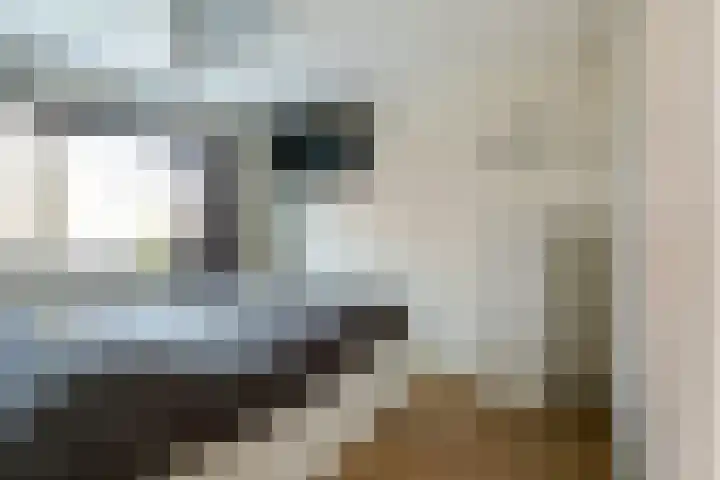 Vliegent Hert 224 Lelystad thumbnail 24