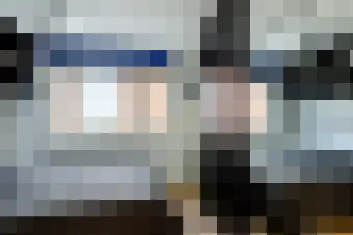 Vliegent Hert 224 Lelystad thumbnail 26
