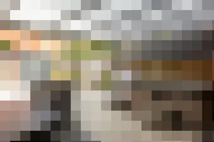 Vliegent Hert 224 Lelystad thumbnail 35