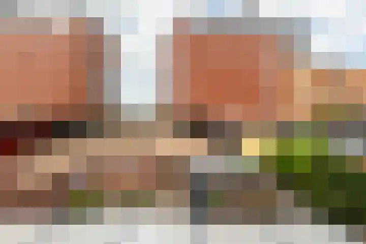 Vliegent Hert 224 Lelystad thumbnail 37