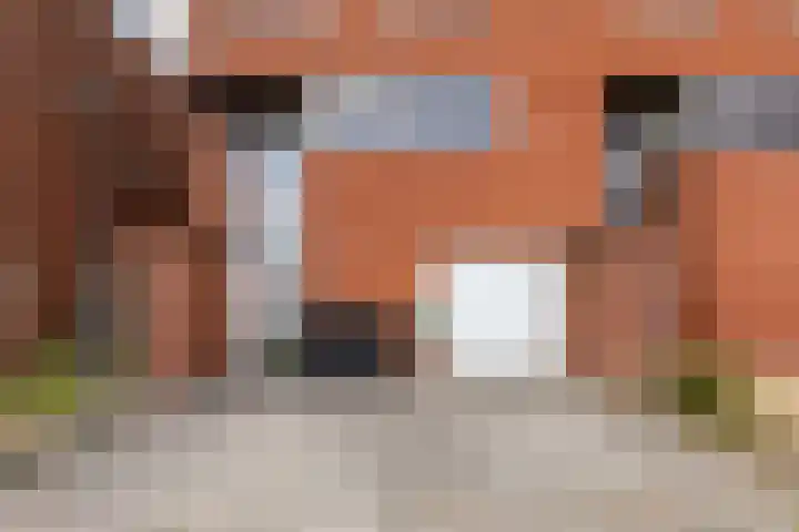 Vliegent Hert 224 Lelystad thumbnail 38