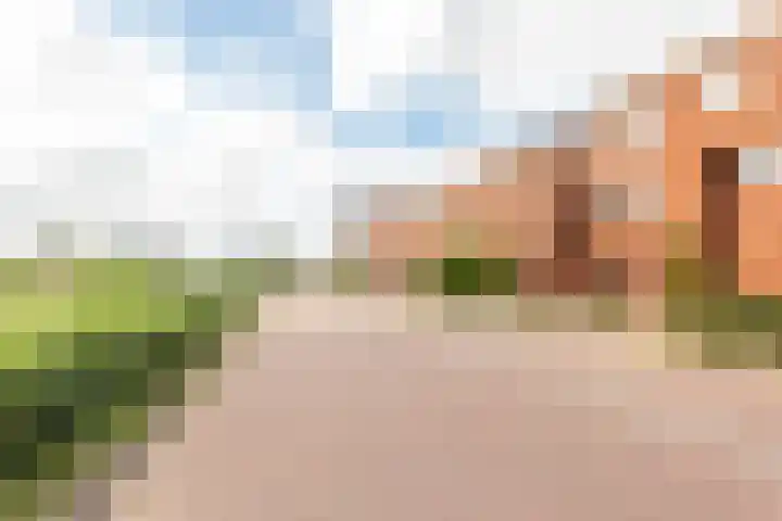 Vliegent Hert 224 Lelystad thumbnail 40
