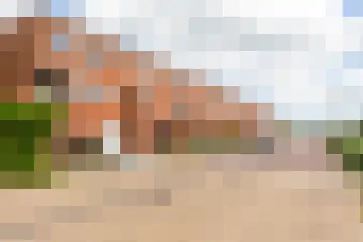 Vliegent Hert 224 Lelystad thumbnail 41