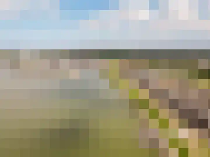 Vliegent Hert 224 Lelystad thumbnail 43