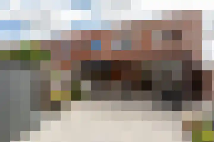 Vliegent Hert 224 Lelystad thumbnail 5