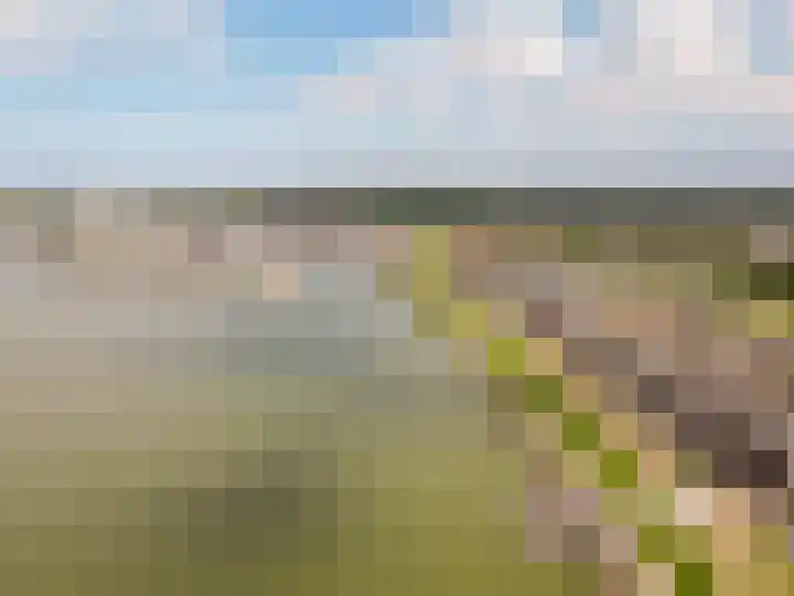 Vliegent Hert 224 Lelystad thumbnail 8