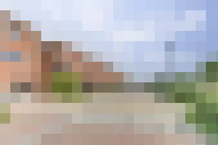 Vliegent Hert 226 Lelystad thumbnail 18