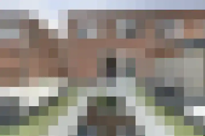 Vliegent Hert 226 Lelystad thumbnail 31
