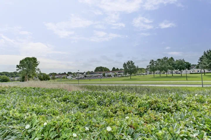 Vliegent Hert 226 Lelystad thumbnail 33