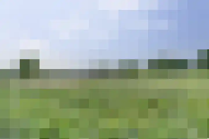 Vliegent Hert 226 Lelystad thumbnail 33