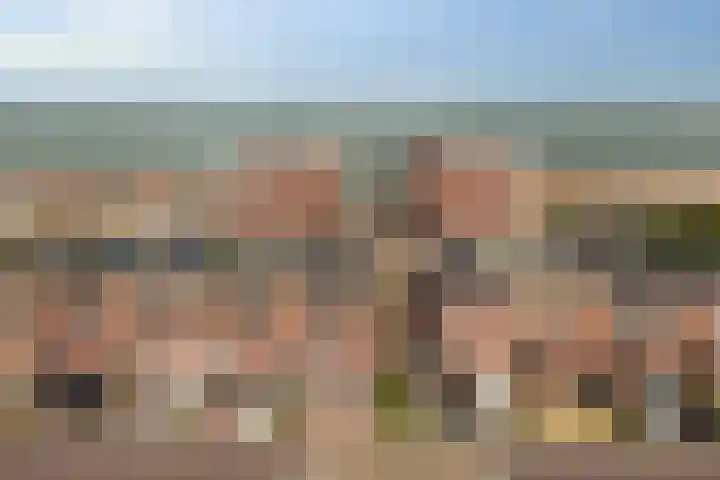 Vliegent Hert 226 Lelystad thumbnail 34