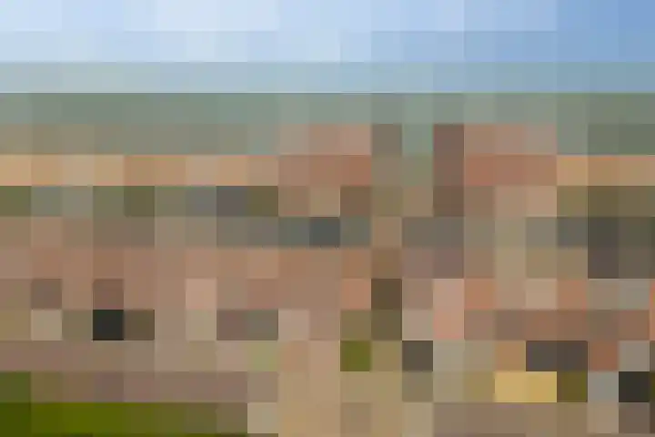 Vliegent Hert 226 Lelystad thumbnail 35
