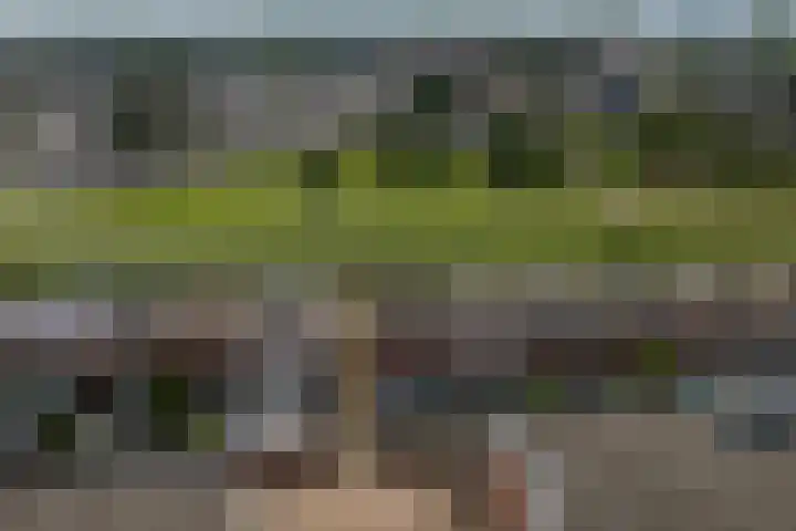 Vliegent Hert 226 Lelystad thumbnail 36