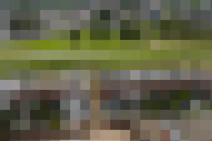 Vliegent Hert 226 Lelystad thumbnail 37