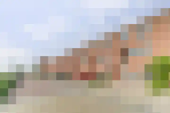 Vliegent Hert 226 Lelystad thumbnail 38