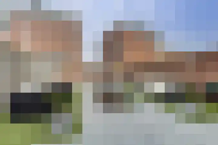 Vliegent Hert 226 Lelystad thumbnail 4